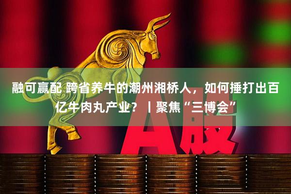 融可赢配 跨省养牛的潮州湘桥人，如何捶打出百亿牛肉丸产业？丨聚焦“三博会”