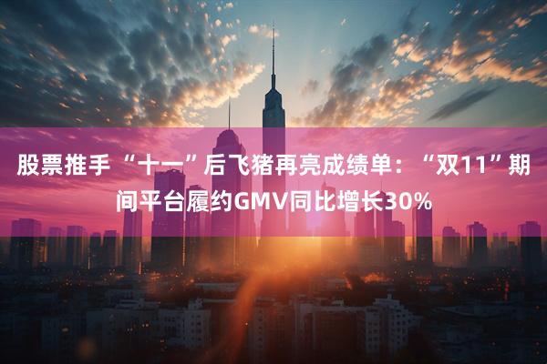 股票推手 “十一”后飞猪再亮成绩单：“双11”期间平台履约GMV同比增长30%